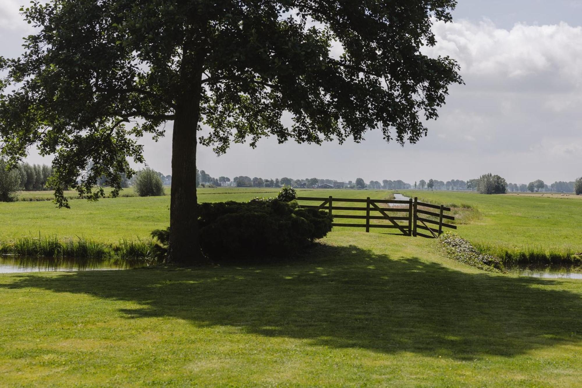 B&B Het Rijgebint Molenaarsgraaf Bagian luar foto
